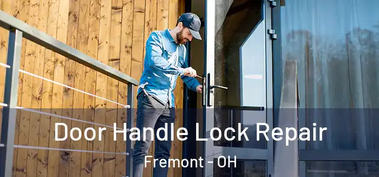Door Handle Lock Repair Fremont - OH