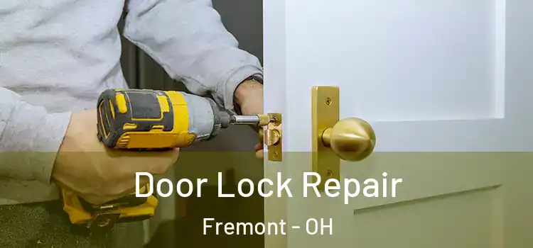 Door Lock Repair Fremont - OH