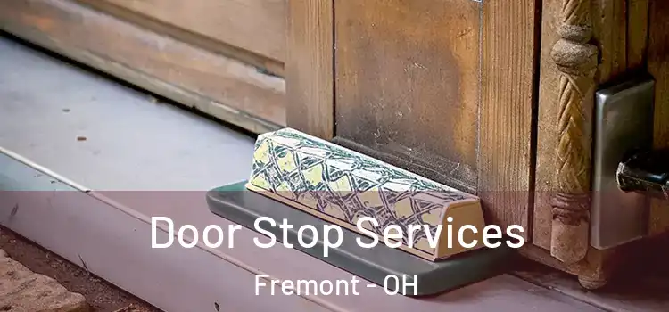 Door Stop Services Fremont - OH