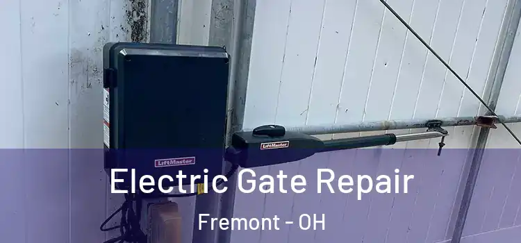 Electric Gate Repair Fremont - OH