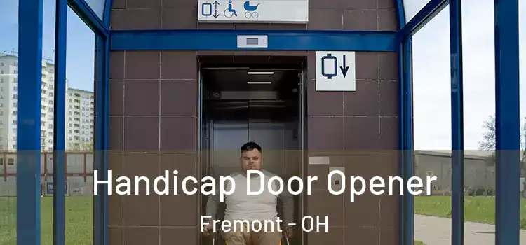Handicap Door Opener Fremont - OH