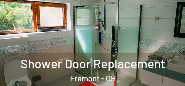 Shower Door Replacement Fremont - OH