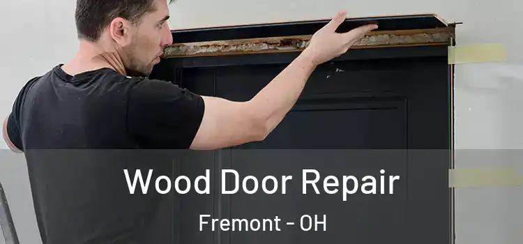 Wood Door Repair Fremont - OH